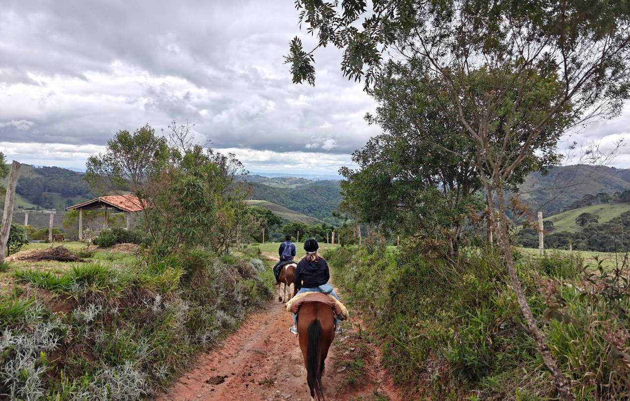 CAVALGADA